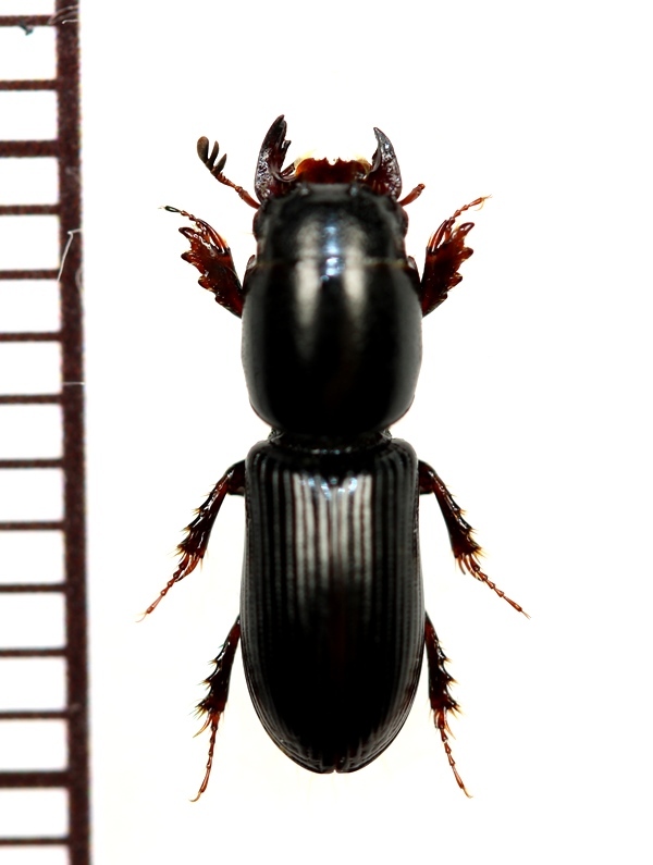 广door叁叉 _ 哔哩哔哩相簿