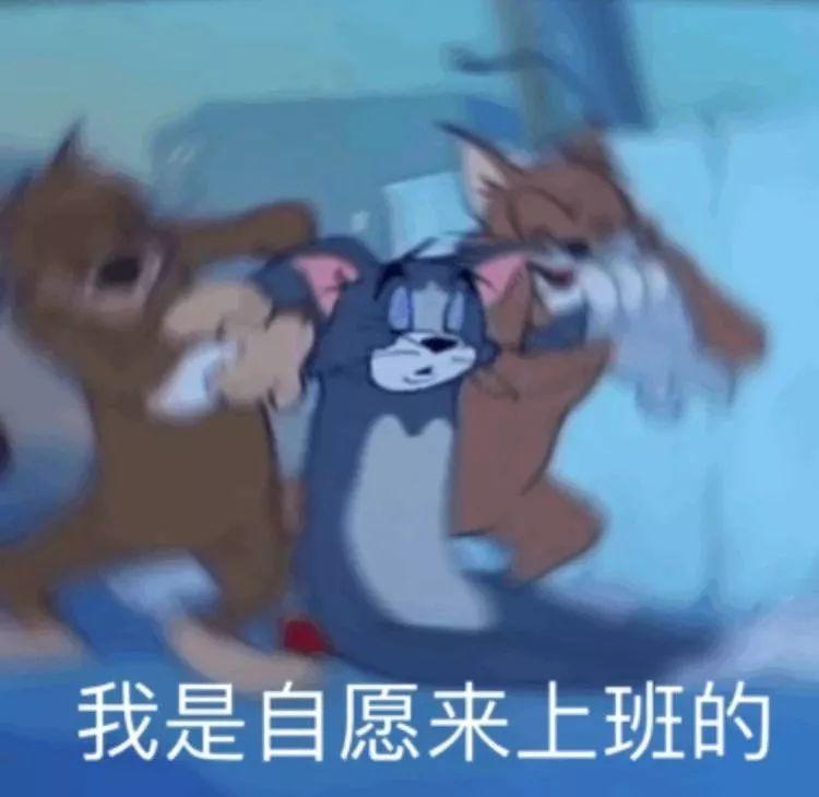 今天已经是假期的第三天了?不是昨天才放假吗? 我穿越了吗?