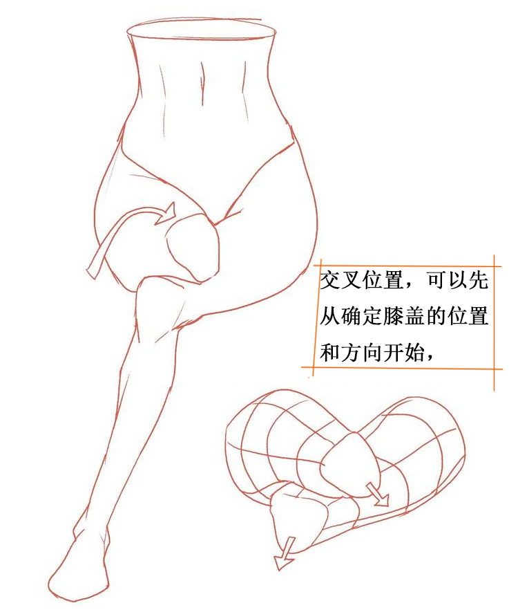 马甲线简笔画图片大全图片