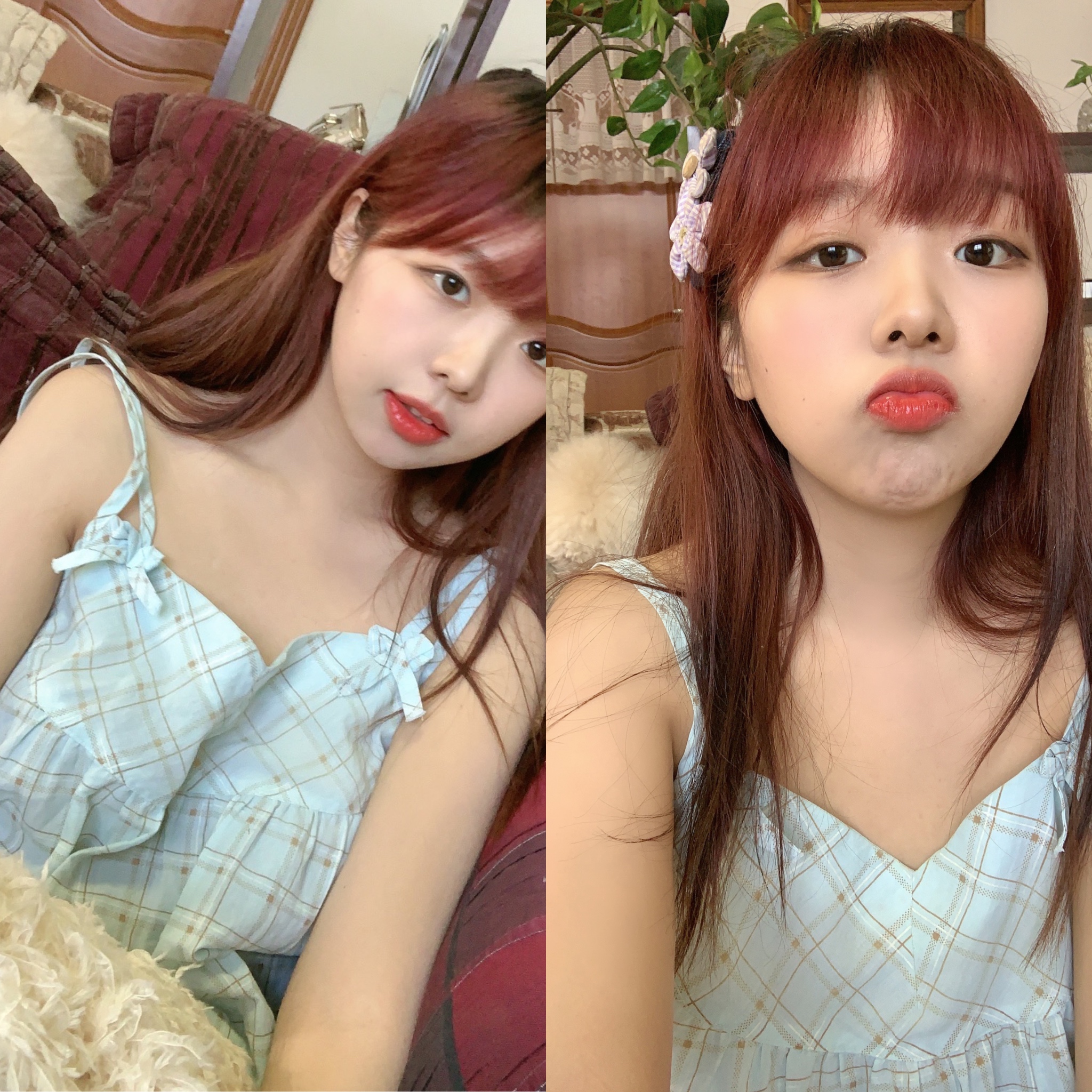 塑料叉foku _ 哔哩哔哩相簿