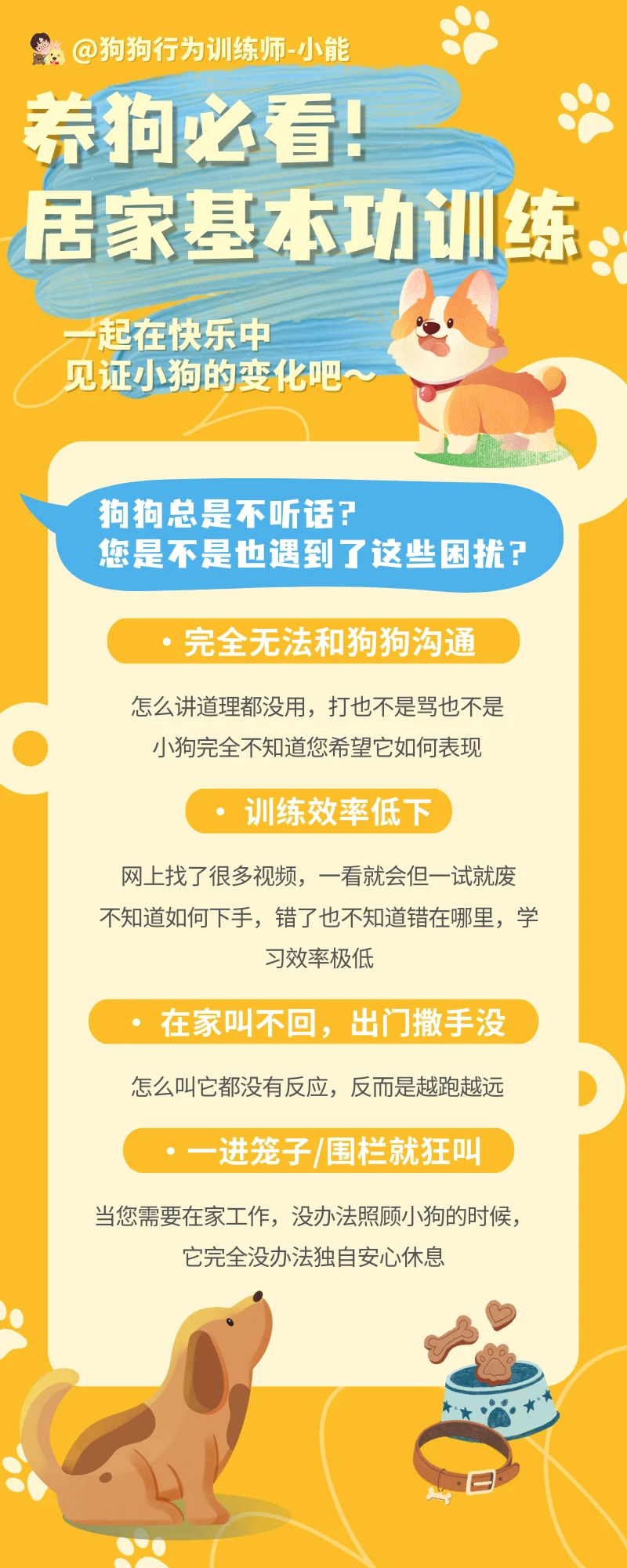 养狗必看!狗狗居家基本功训练_哔哩哔哩_bilibili