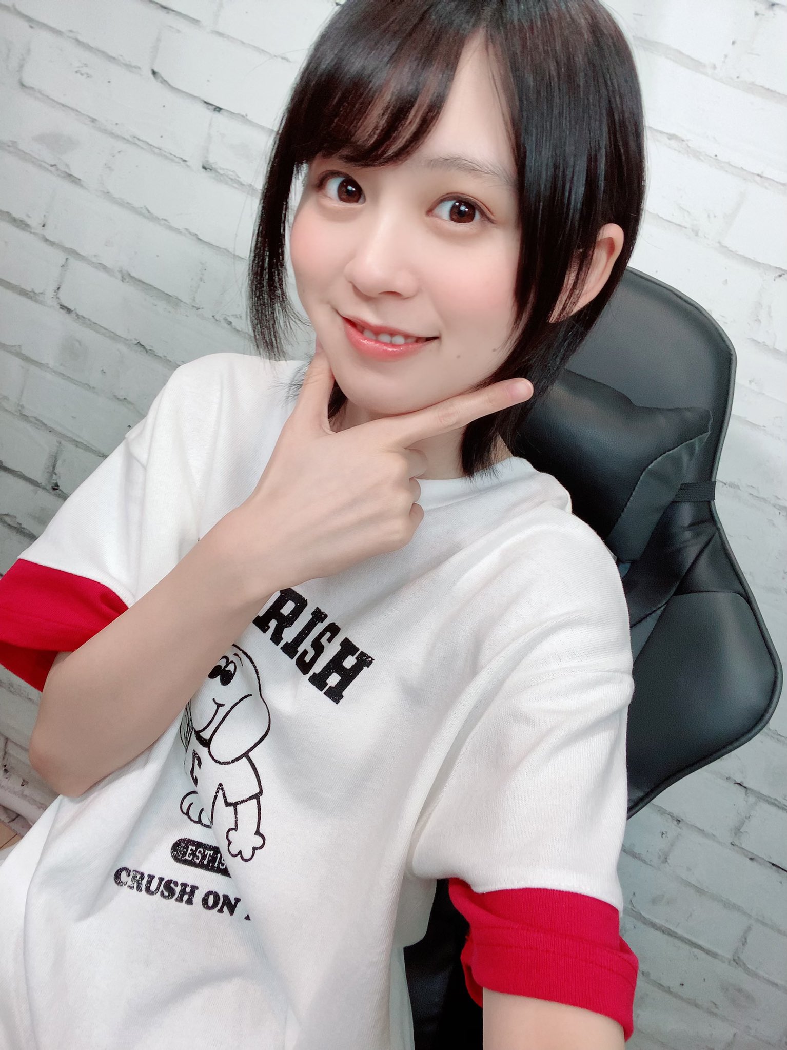 中岛由贵家的文鸟 _ 哔哩哔哩相簿