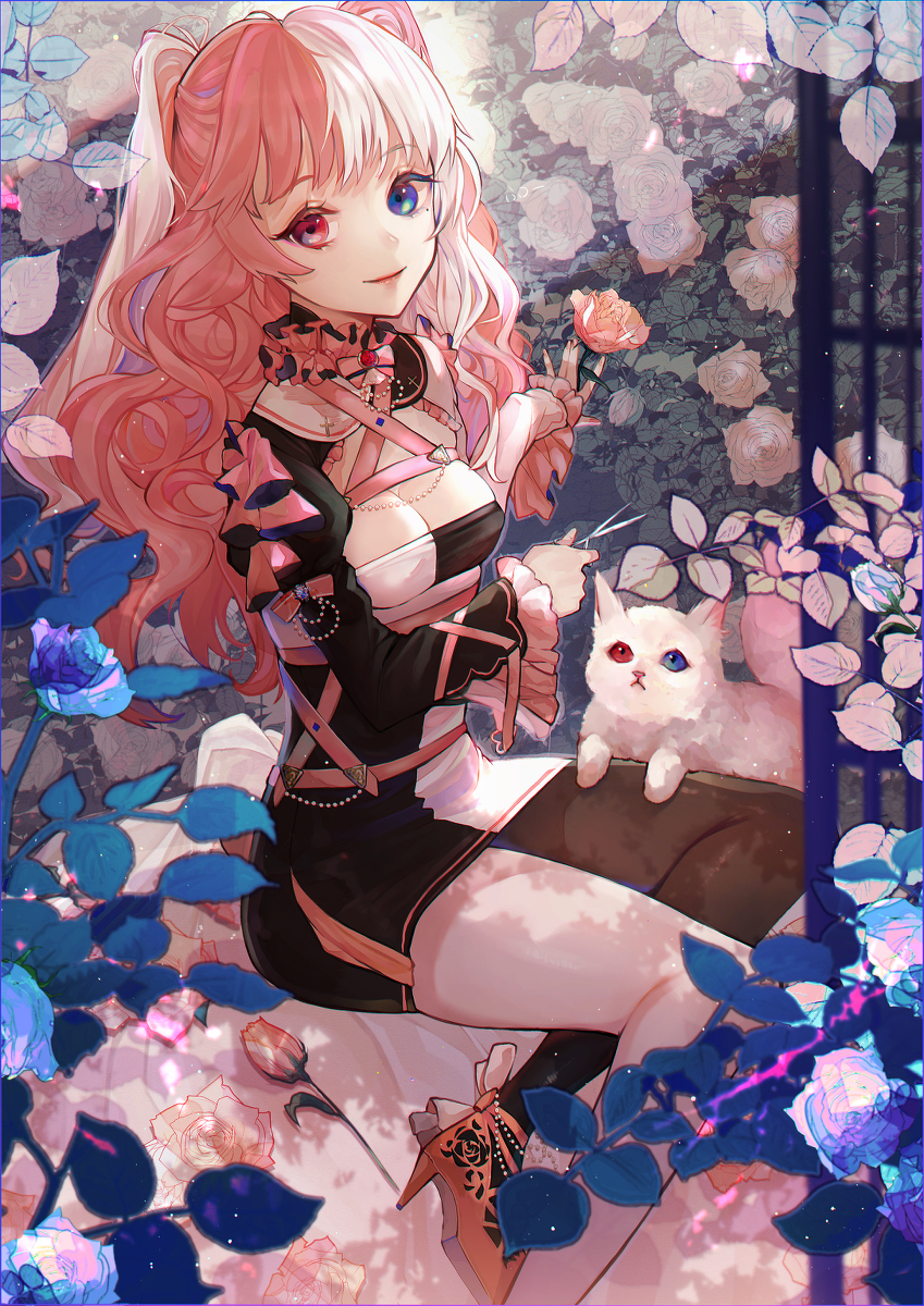 画师通 _ 哔哩哔哩相簿