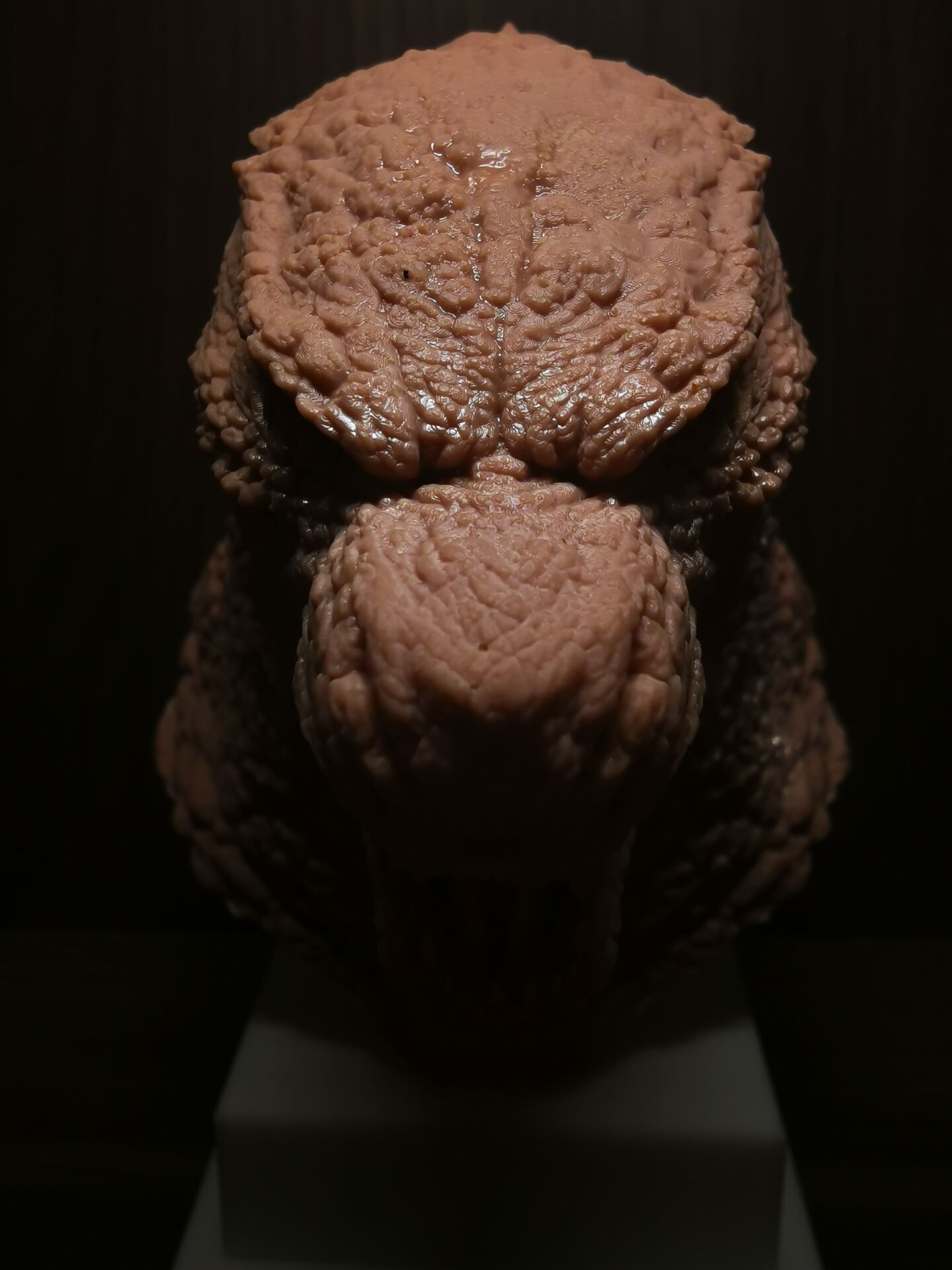 surprise 妈惹法克儿浏览:1026收藏:0支持:15上传时间:2022-02-03 20