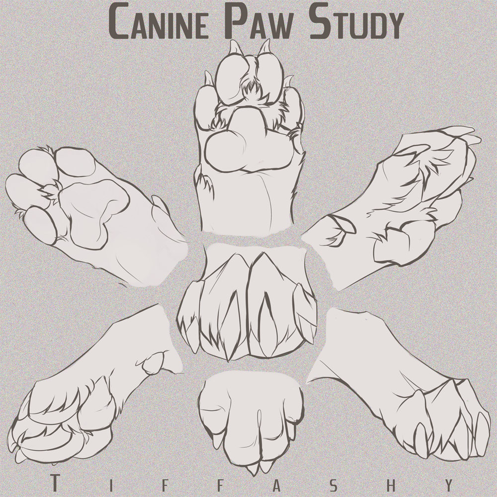 原画人在线学院 _ 哔哩哔哩相簿