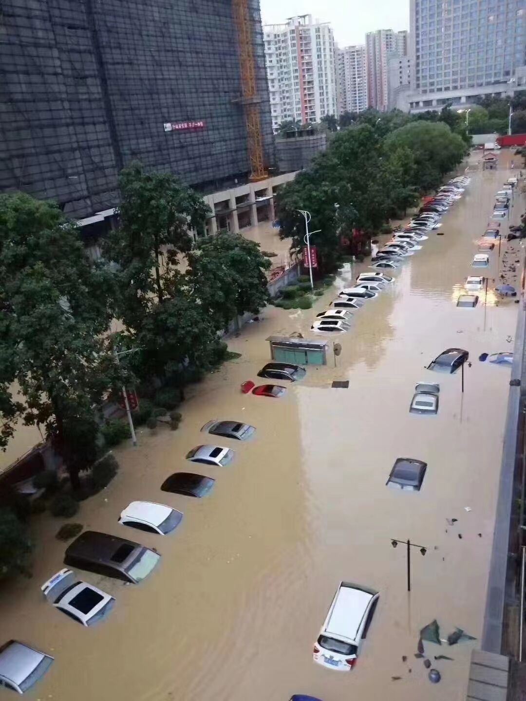 哔哩哔哩相簿,绘你所想,拍你所爱