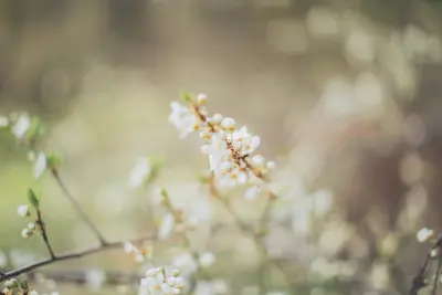 Photo by WPcoder