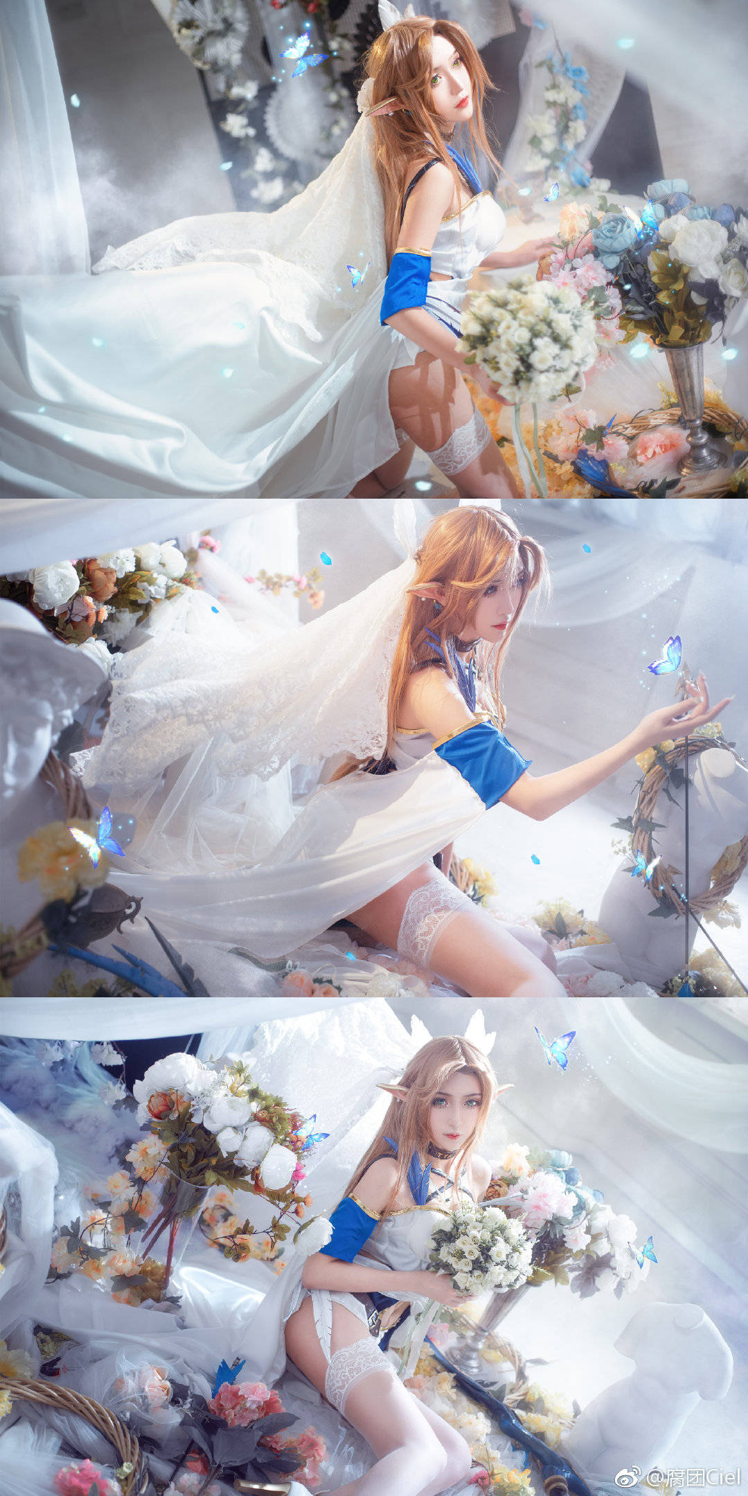 蒂雅娘ruler-腐团