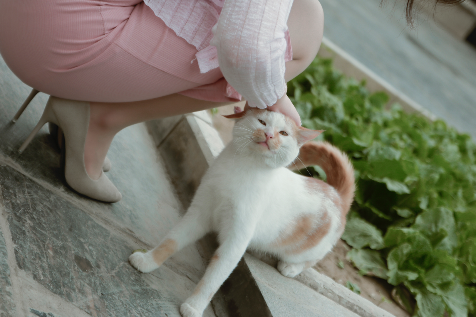 安逸酱酱酱 _ 哔哩哔哩相簿