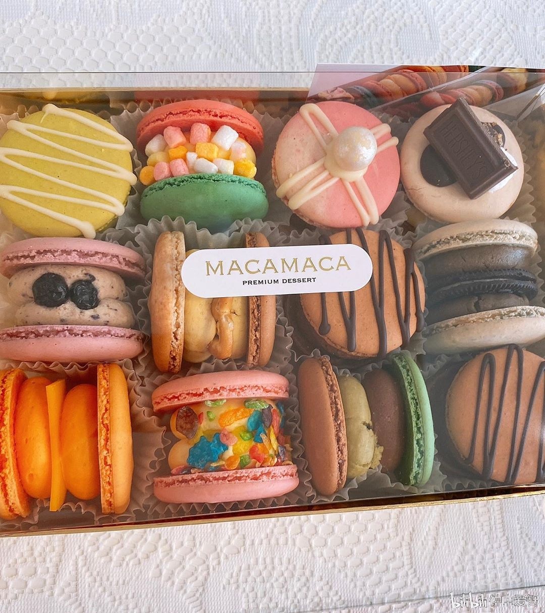 钟申爱智 _ 哔哩哔哩相簿