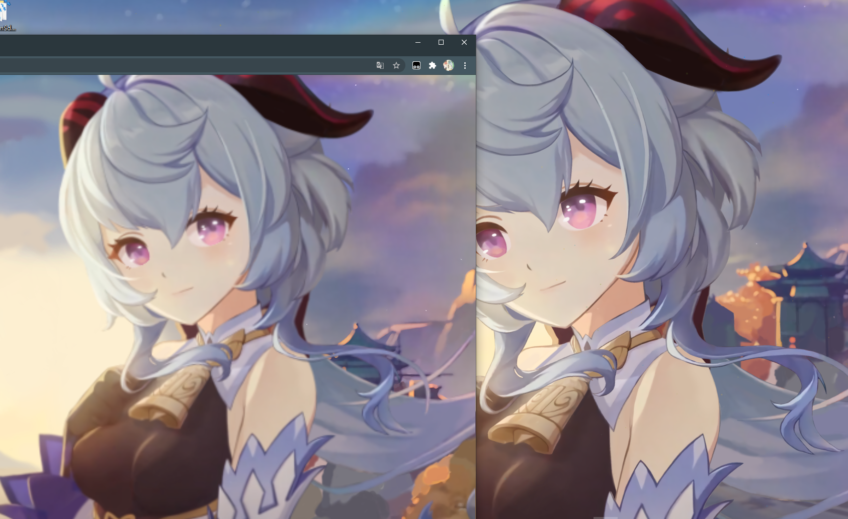 根瘤菌rkzj _ 哔哩哔哩相簿