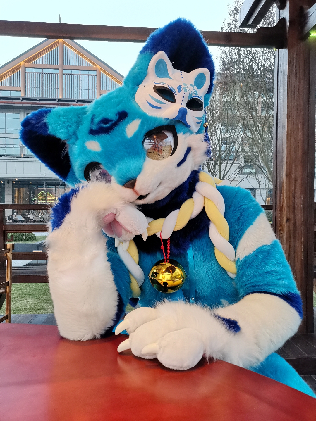 fursuitfriday# 今天元宵诶,康康有没有小可爱一起去看灯会鸭