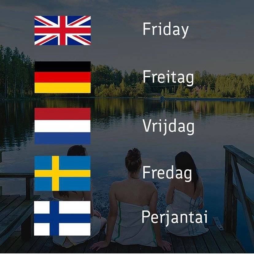 芬兰语属于乌拉尔语系,与其他印欧语系的语言都有很大的区别.浏览