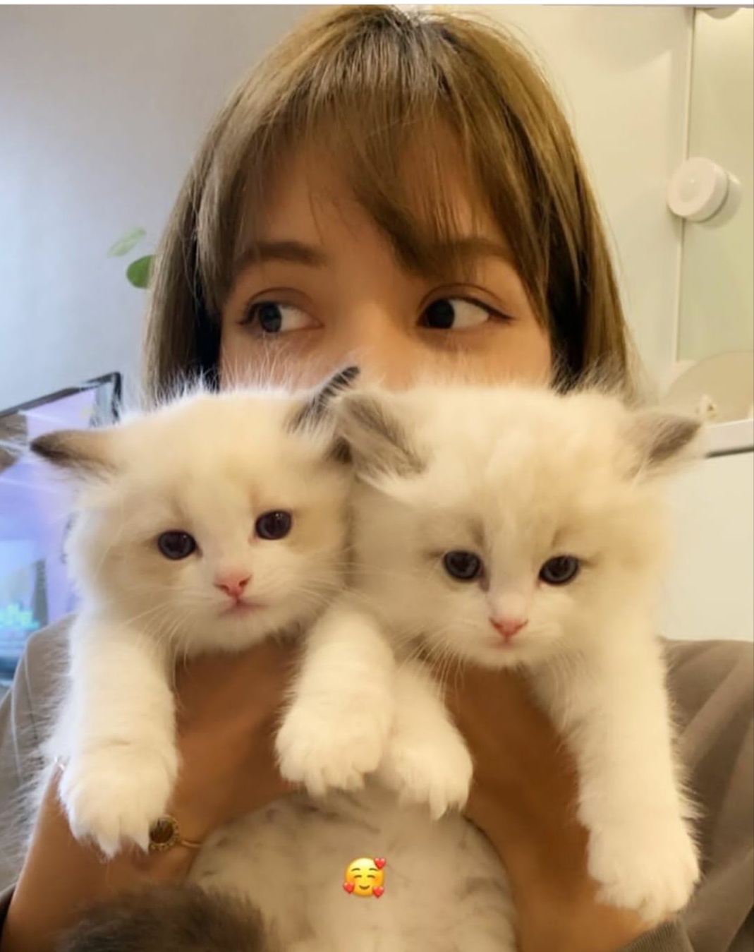 lalalala lisa和她的猫猫[卖萌]浏览:83收藏:0支持:0上传时间:2019-08