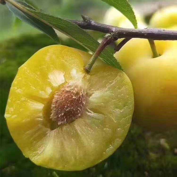 ta 的直播间闲置新唐饭鹊缱由涛窆0ta 的小视频0ta 还没有小