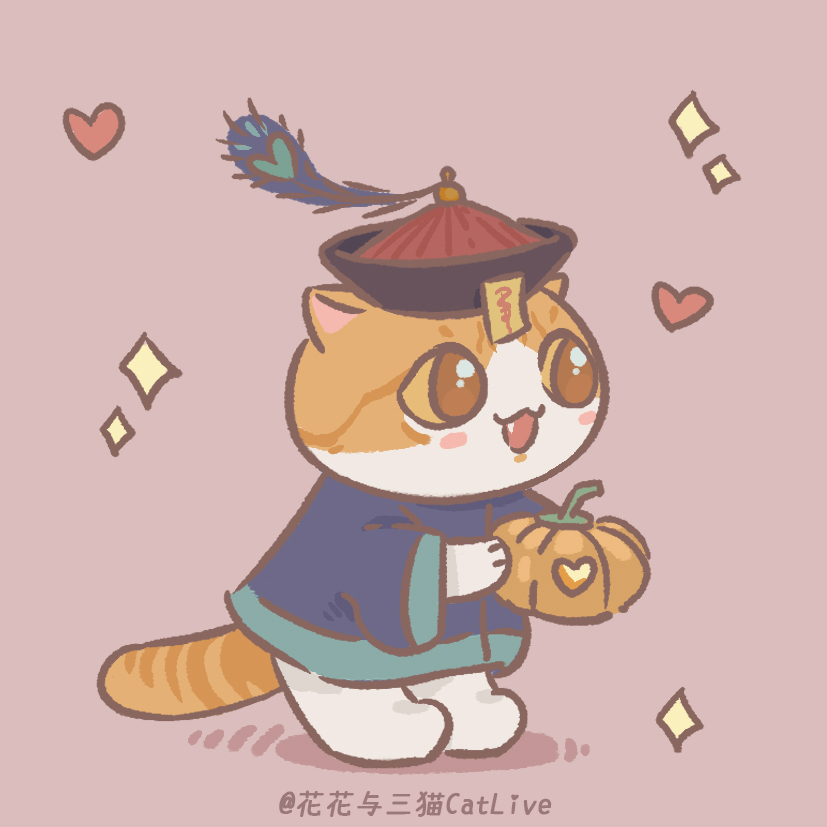 花花与三猫catlive _ 哔哩哔哩相簿