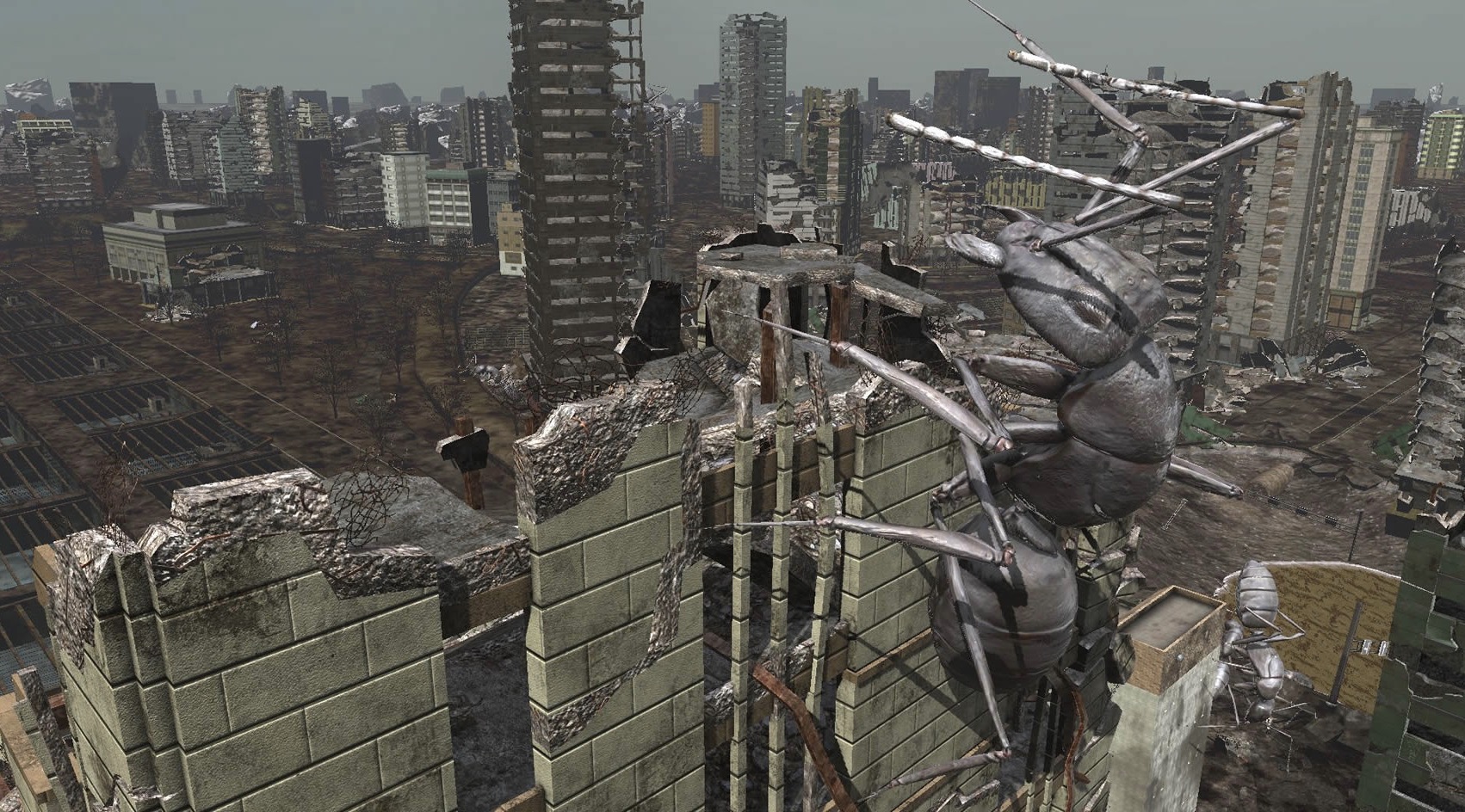 二柄app _ 哔哩哔哩相簿