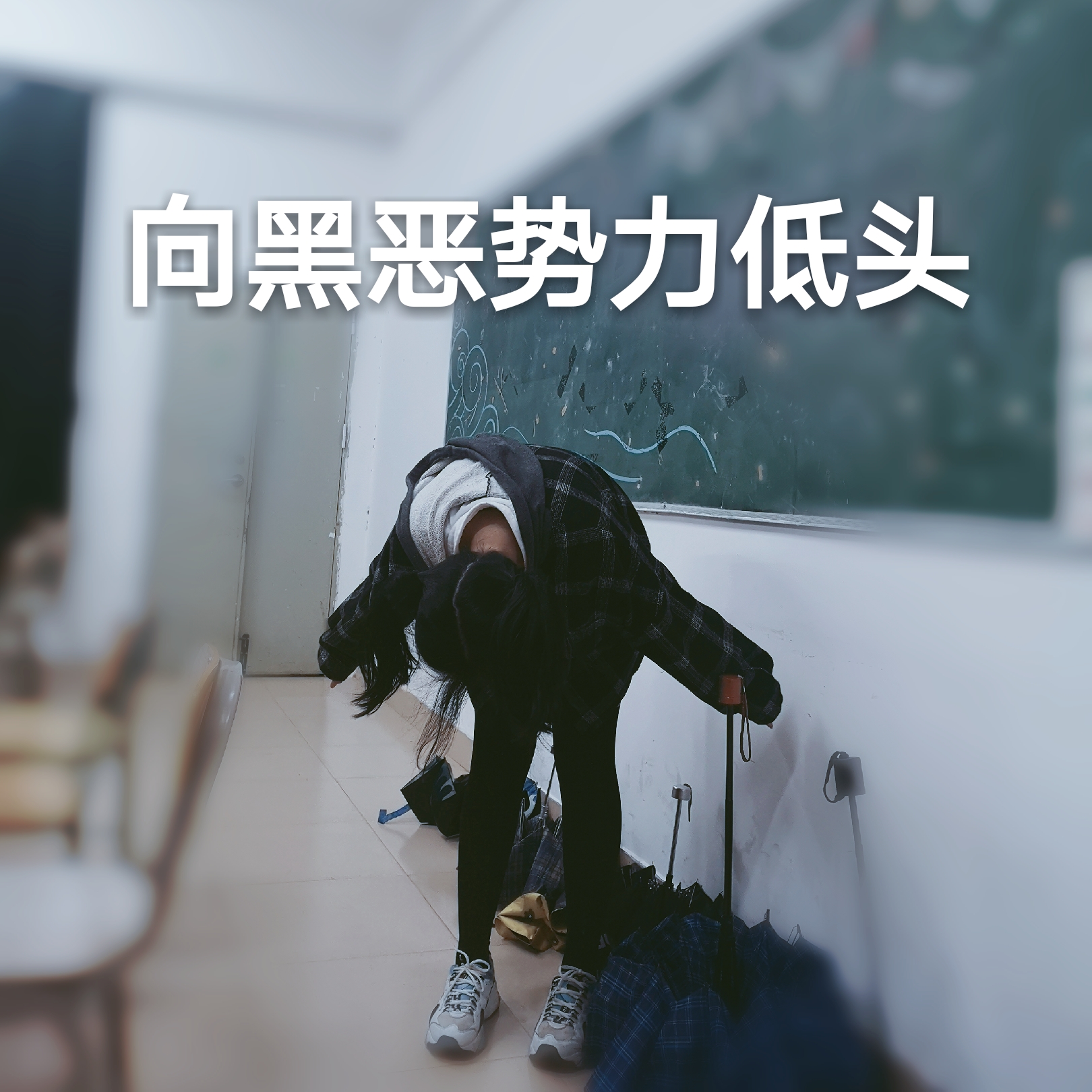 哔哩哔哩相簿,绘你所想,拍你所爱