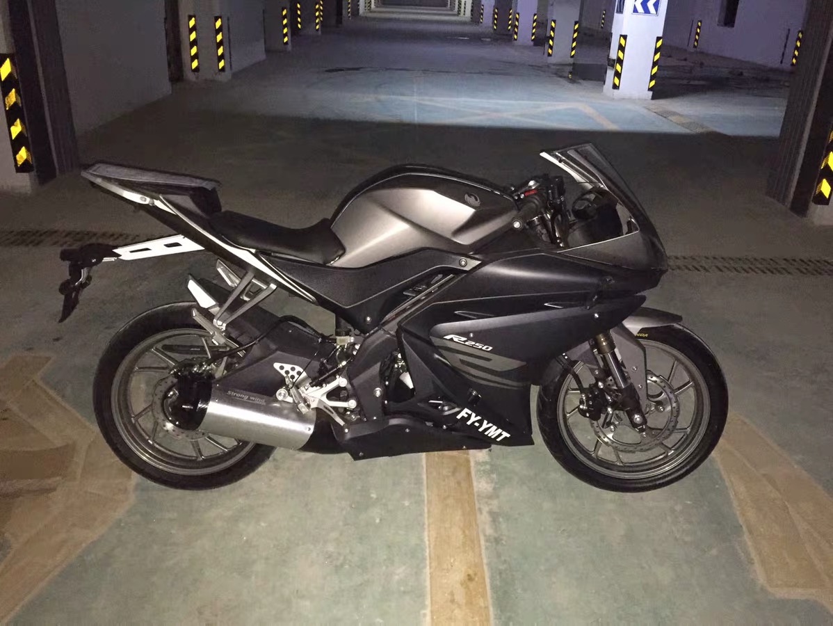 飞鹰r25彩照整车赏析