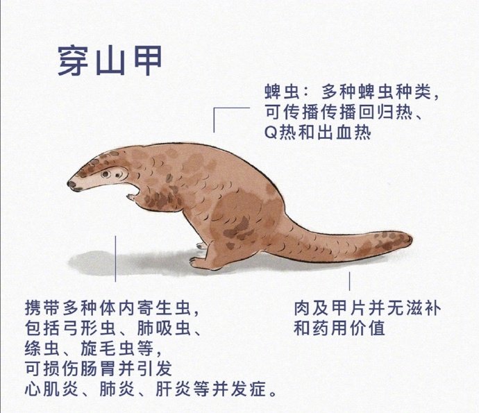 上传时间:2020-02-01 22:42:31