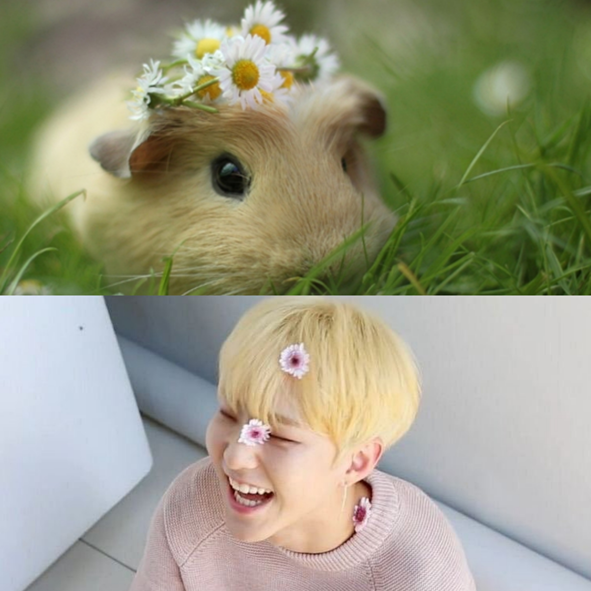 可爱了 转发 评论 赞 李呜叽的白米饭 2019-08-17 #权顺荣hoshi#宝贝