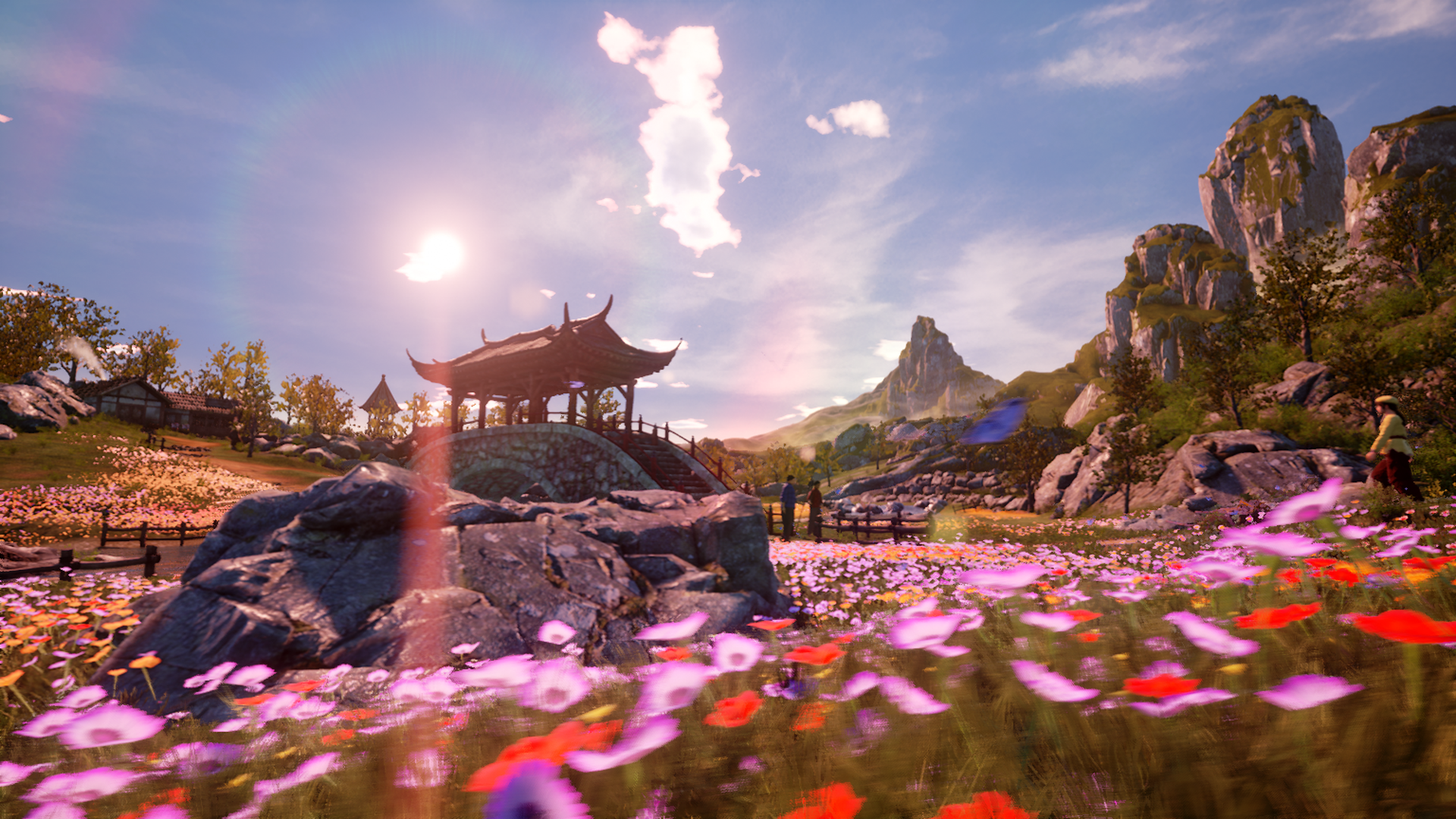 凡特诺诺 _ 哔哩哔哩相簿