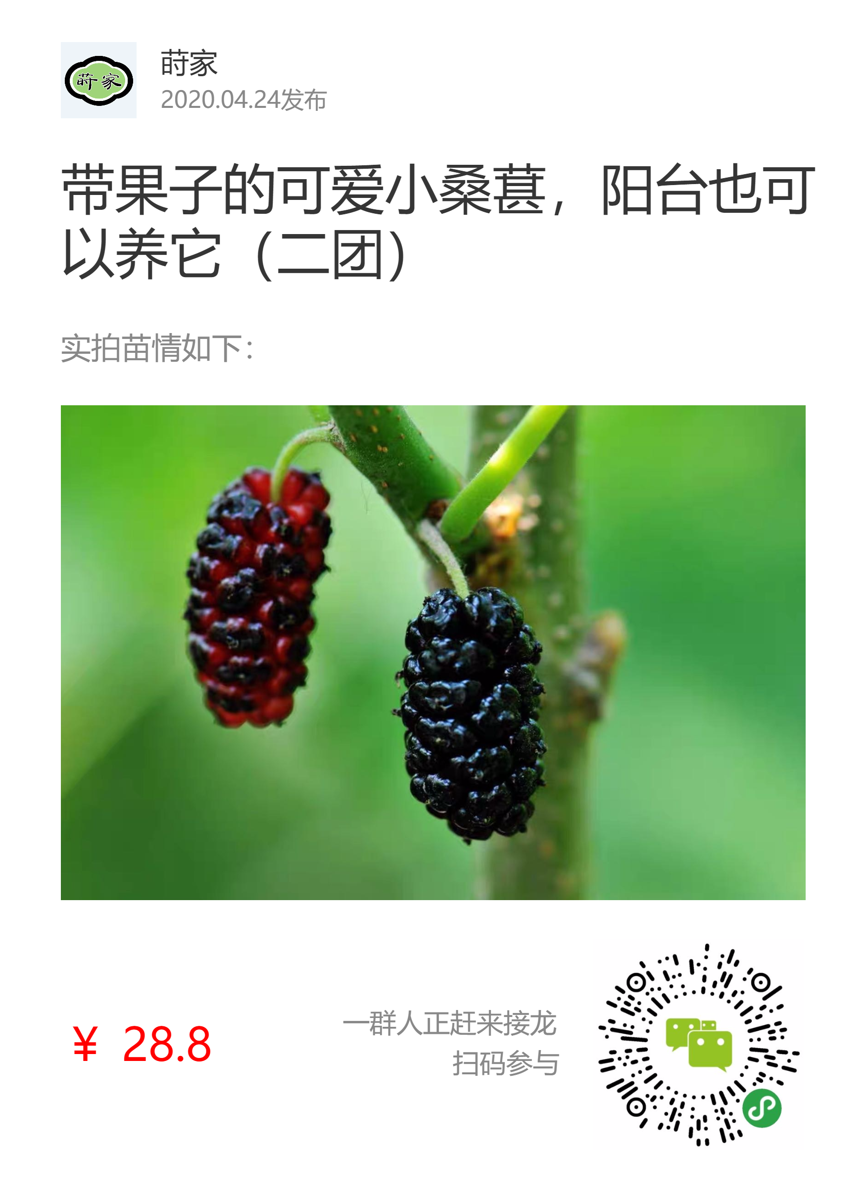 哔哩哔哩相簿,绘你所想,拍你所爱