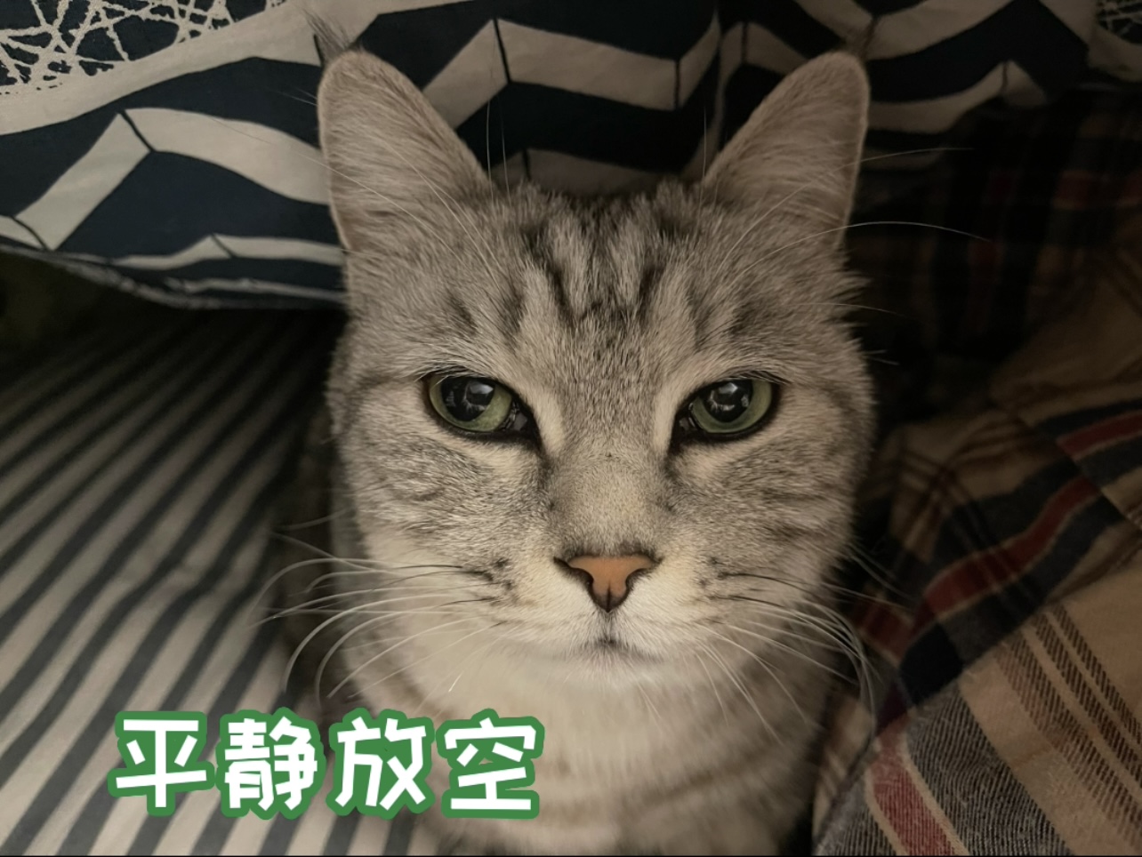 财哥的一些表情包浏览:1.
