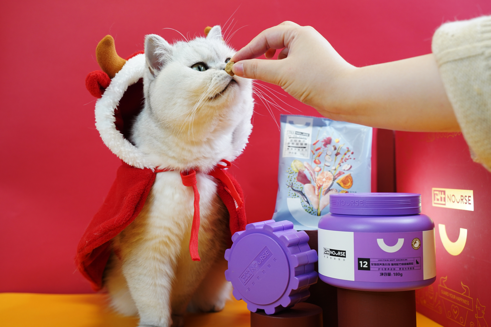 饭团小夫妻 _ 哔哩哔哩相簿