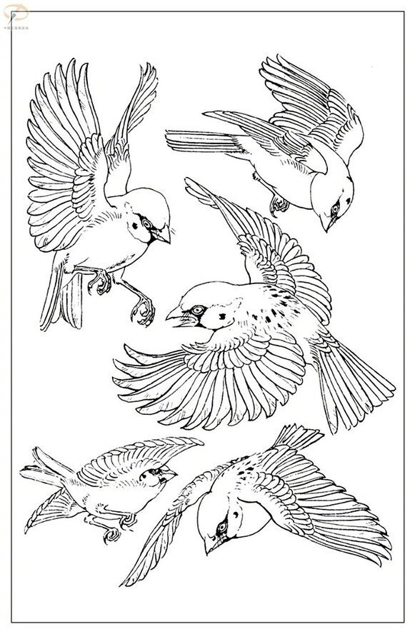 原画人在线学院 _ 哔哩哔哩相簿