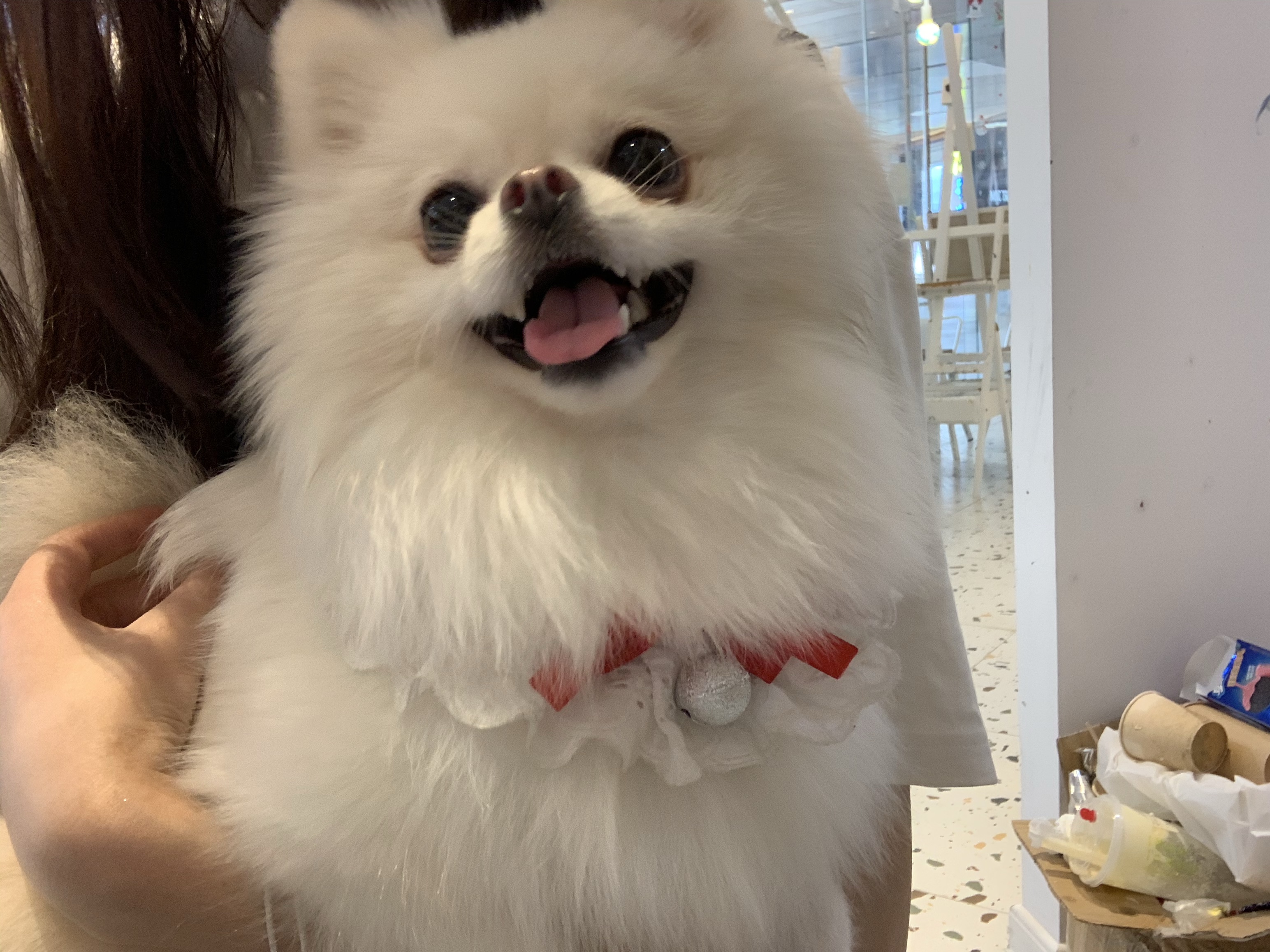 耳朵怀孕 - 奈樱酱噢 - 哔哩哔哩直播,二次元弹幕直播平台