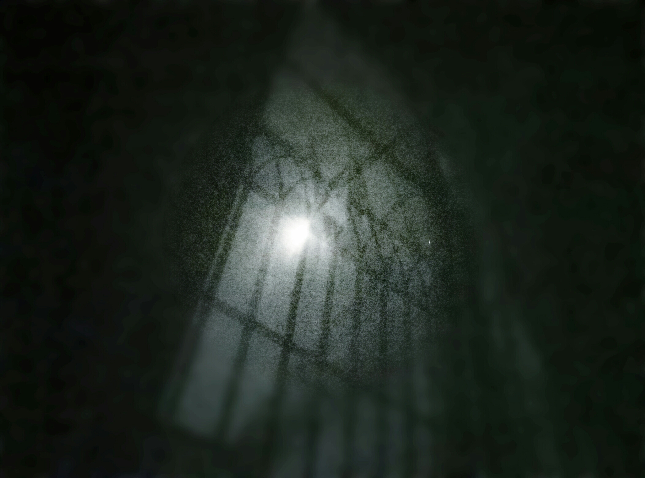 昨晚半夜起来拍个窗外的月亮,加个滤镜,出现了恐怖片的感觉