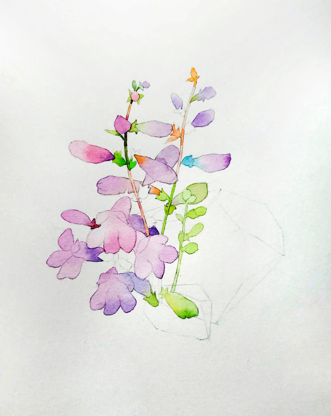 创意水彩花卉好看的水晶花过程图