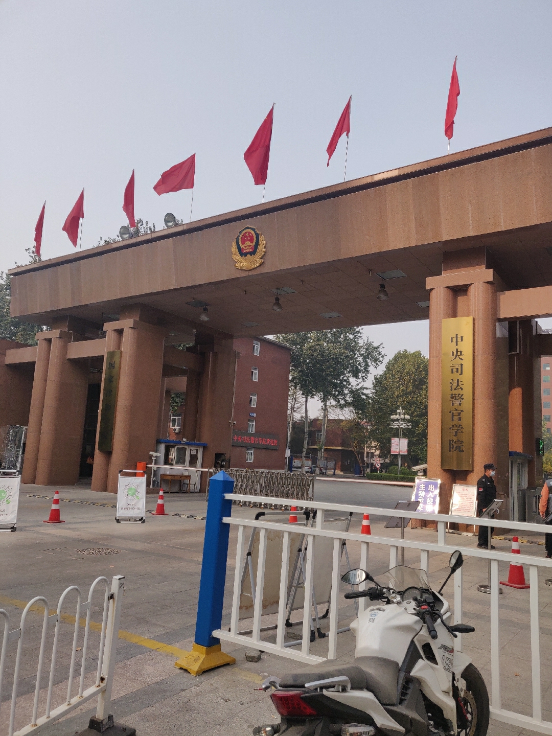 石家庄之虎 _ 哔哩哔哩相簿