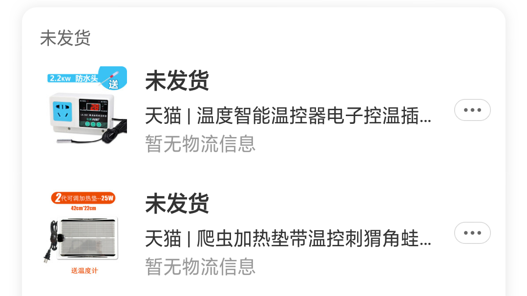 小九鬃狮蜥繁殖工坊 哔哩哔哩相簿