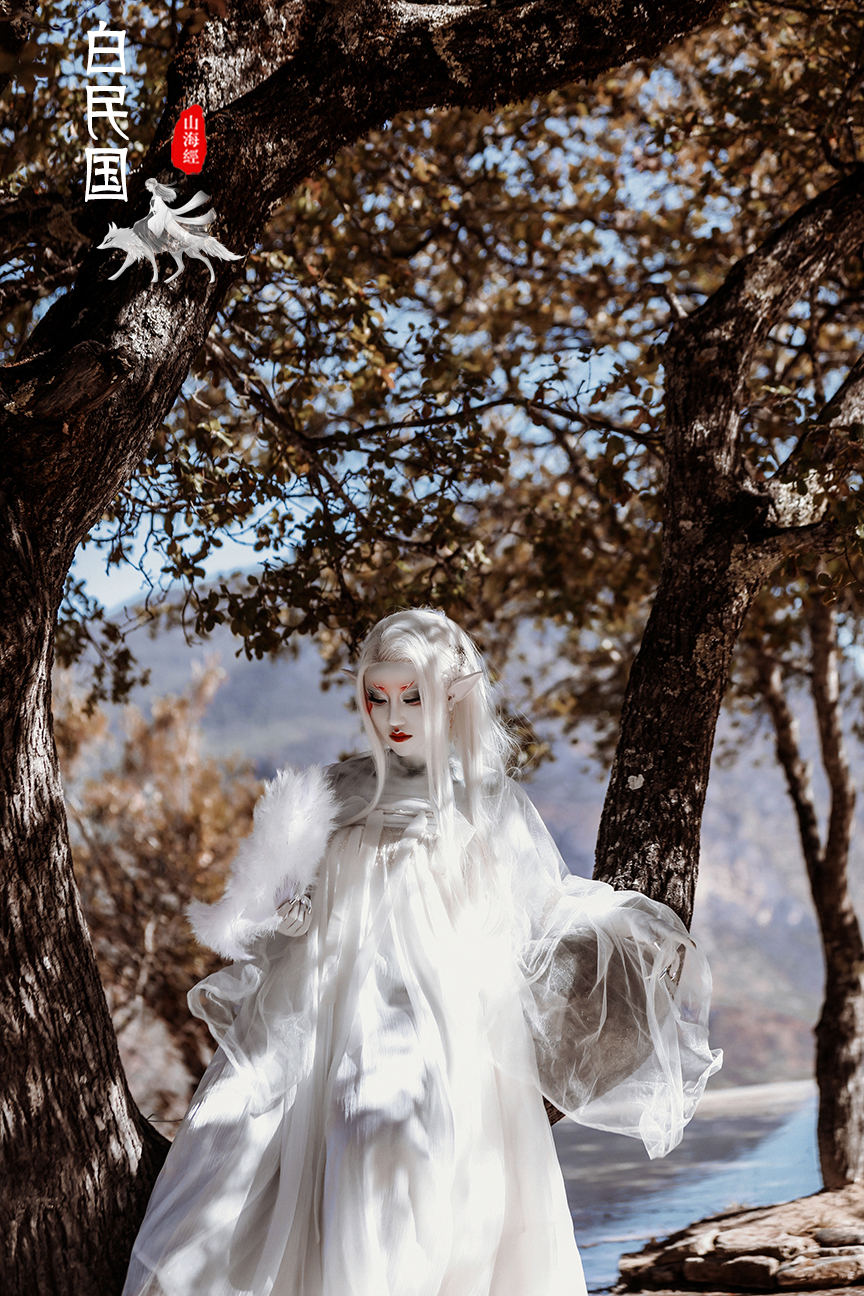 山海经 · 白民国