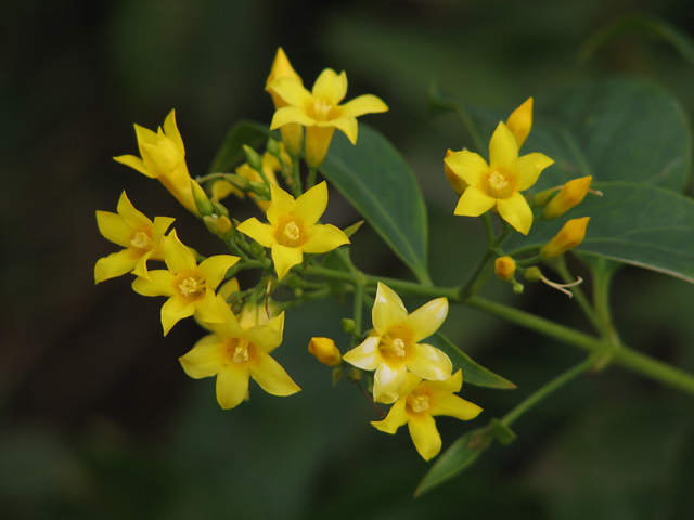 kingdrawcse _ 哔哩哔哩相簿