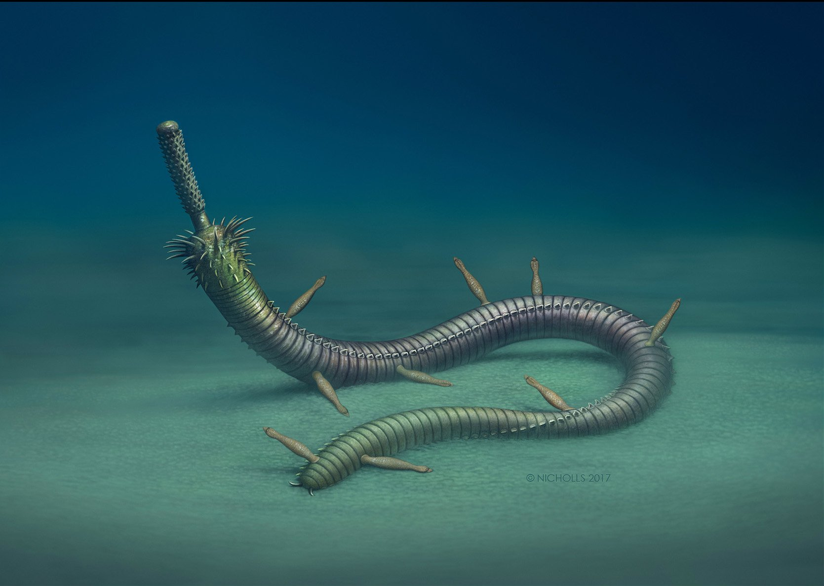 ta 的直播间闲置中更多先聊会儿虫 再看片芳斯塔芙0ta 的小视频0更多