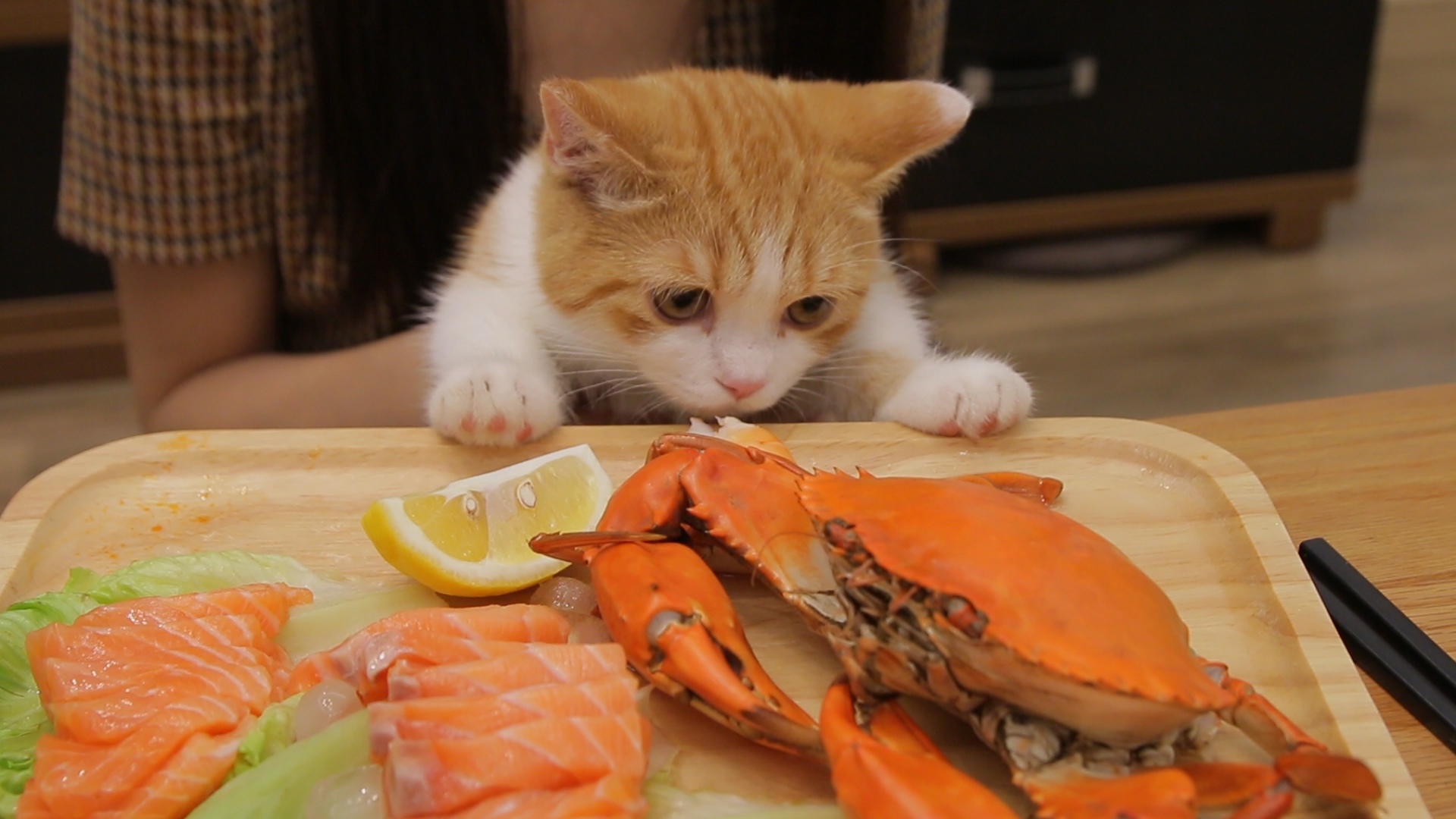 ta 的直播间轮播中【潜水员戴夫】开寿司店啦~玩游戏无猫~花花与三猫