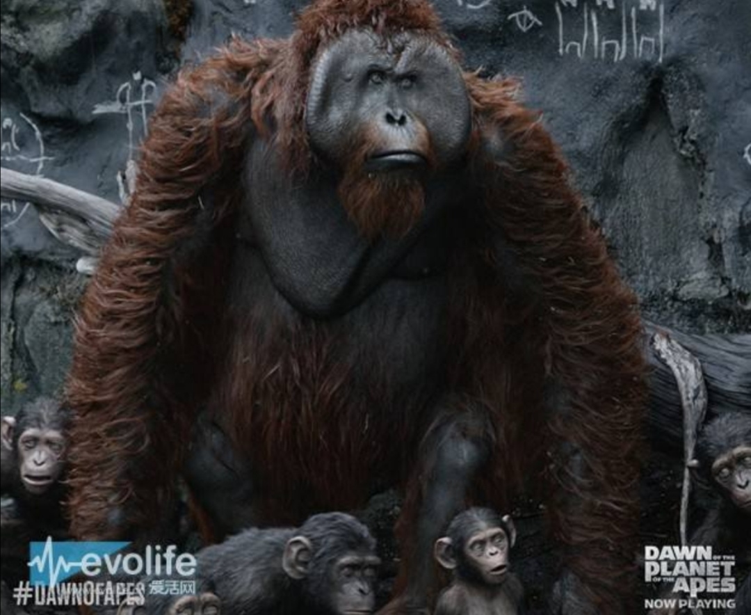 破碎红茶 _ 哔哩哔哩相簿