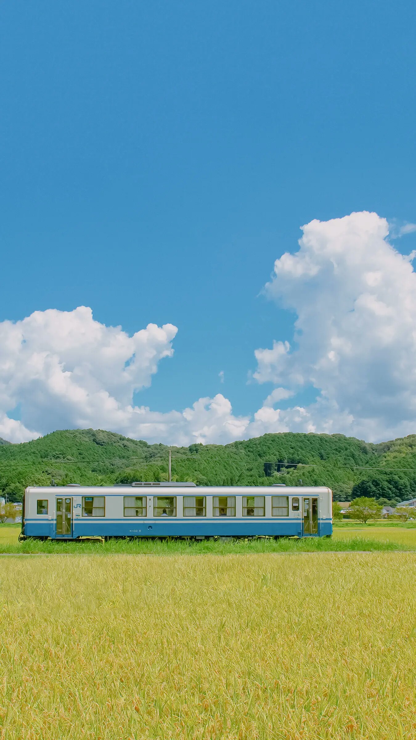 简单生活纯粹爱 _ 哔哩哔哩相簿