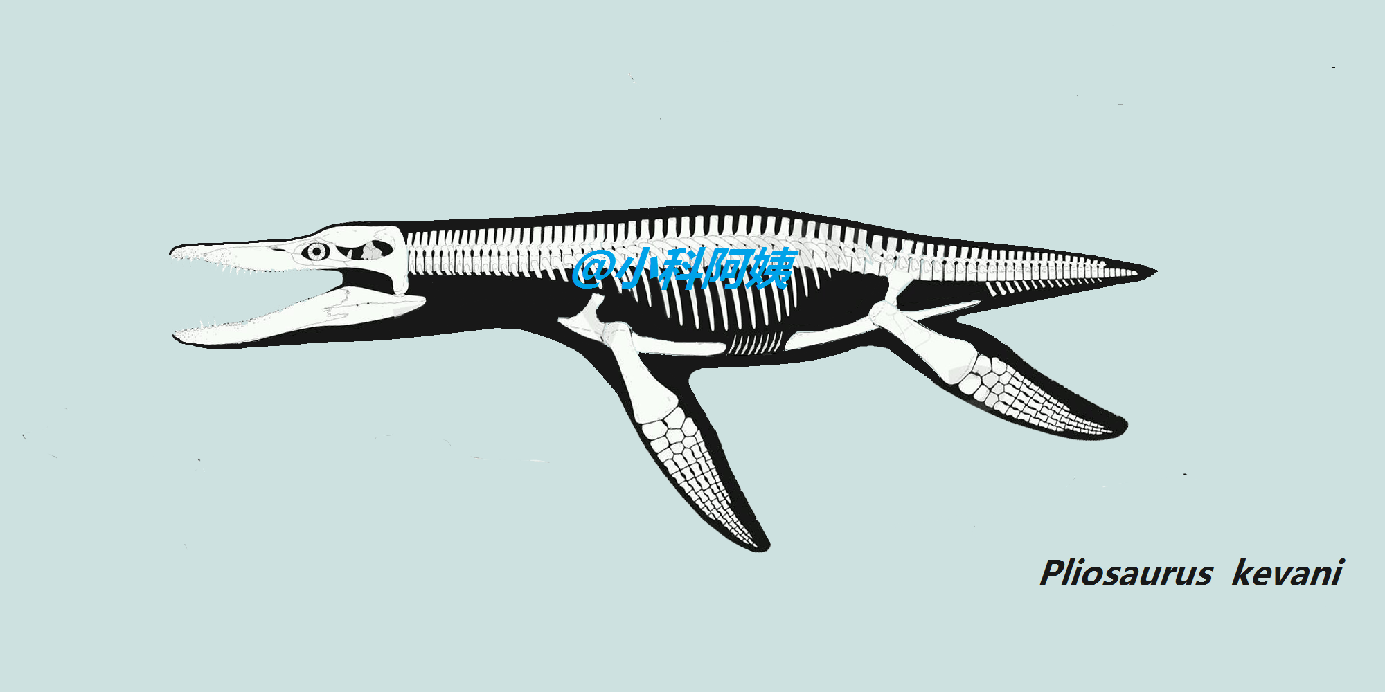 哔哩哔哩相簿,绘你所想,拍你所爱