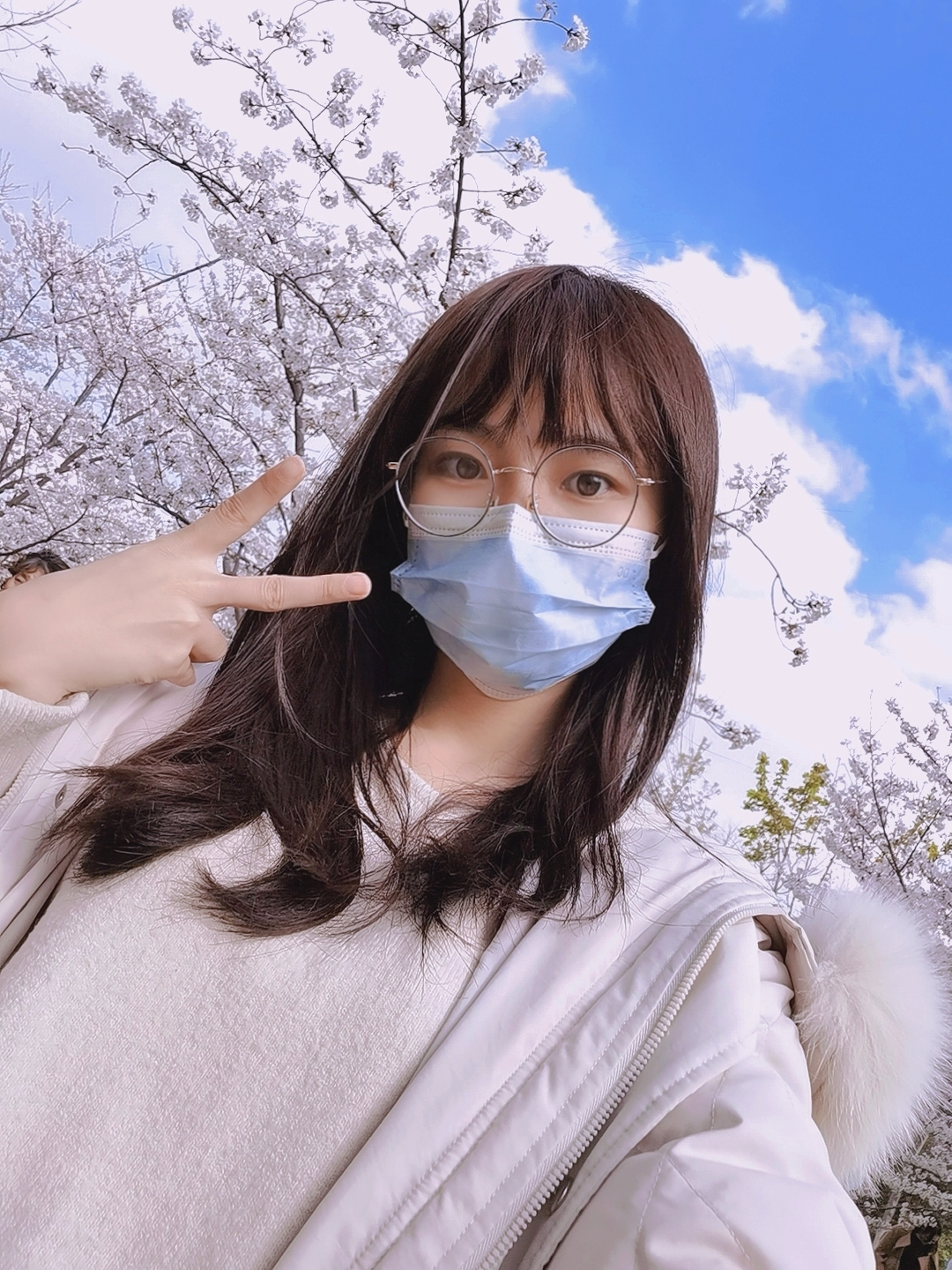 青鸢cyan- _ 哔哩哔哩相簿