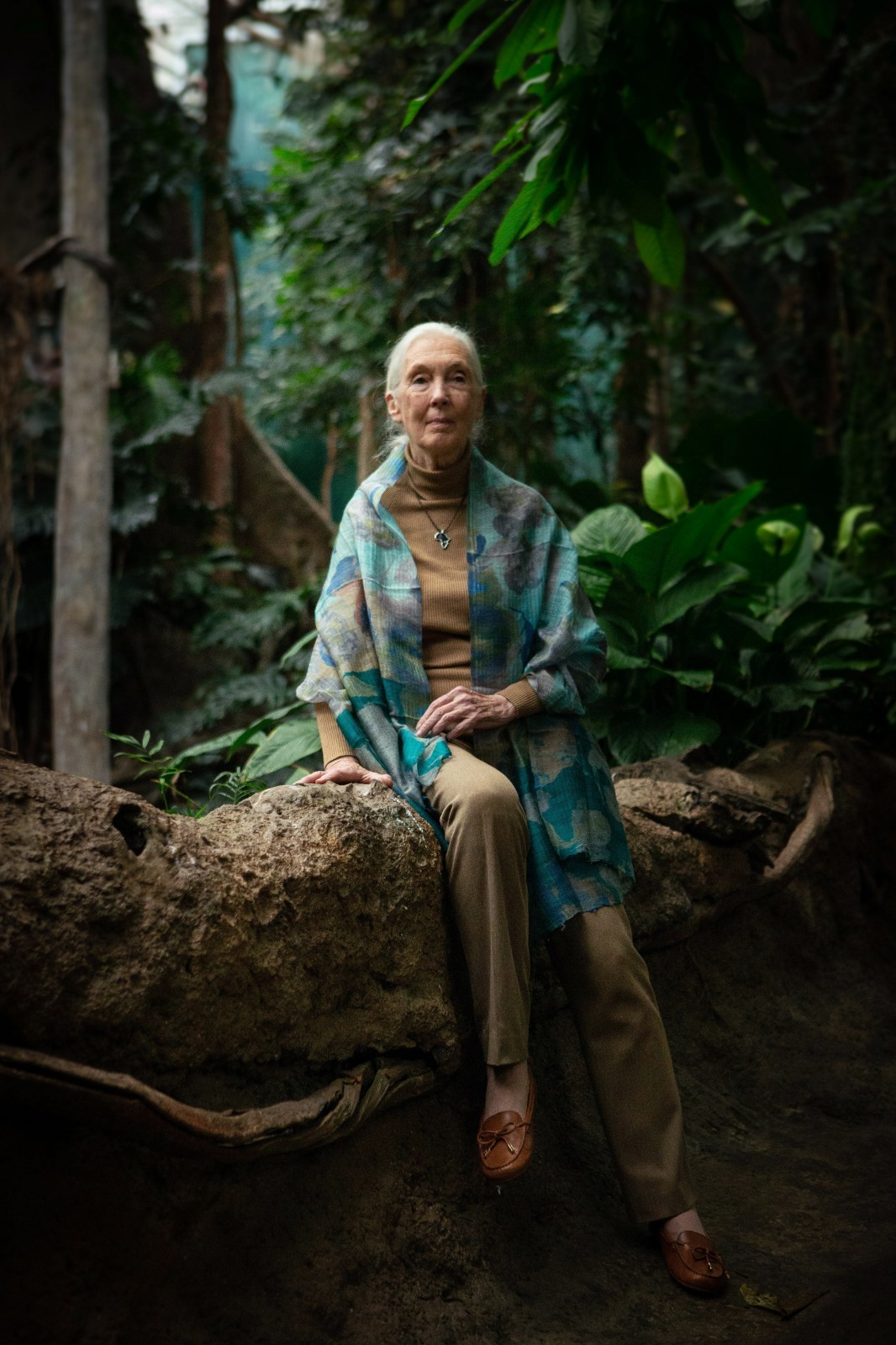 janegoodall _ 哔哩哔哩相簿