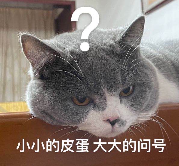 talesmax _ 哔哩哔哩相簿