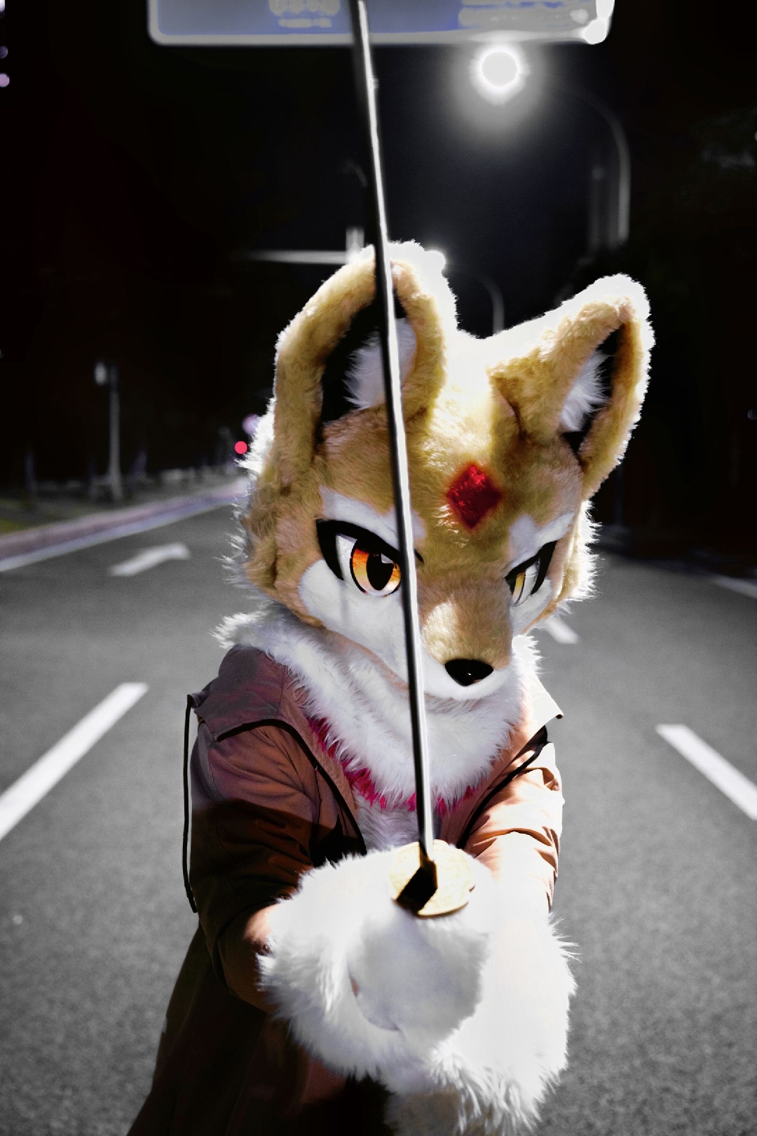 八木沢出门旅游还给我寄来了照片 #fursuitfriday