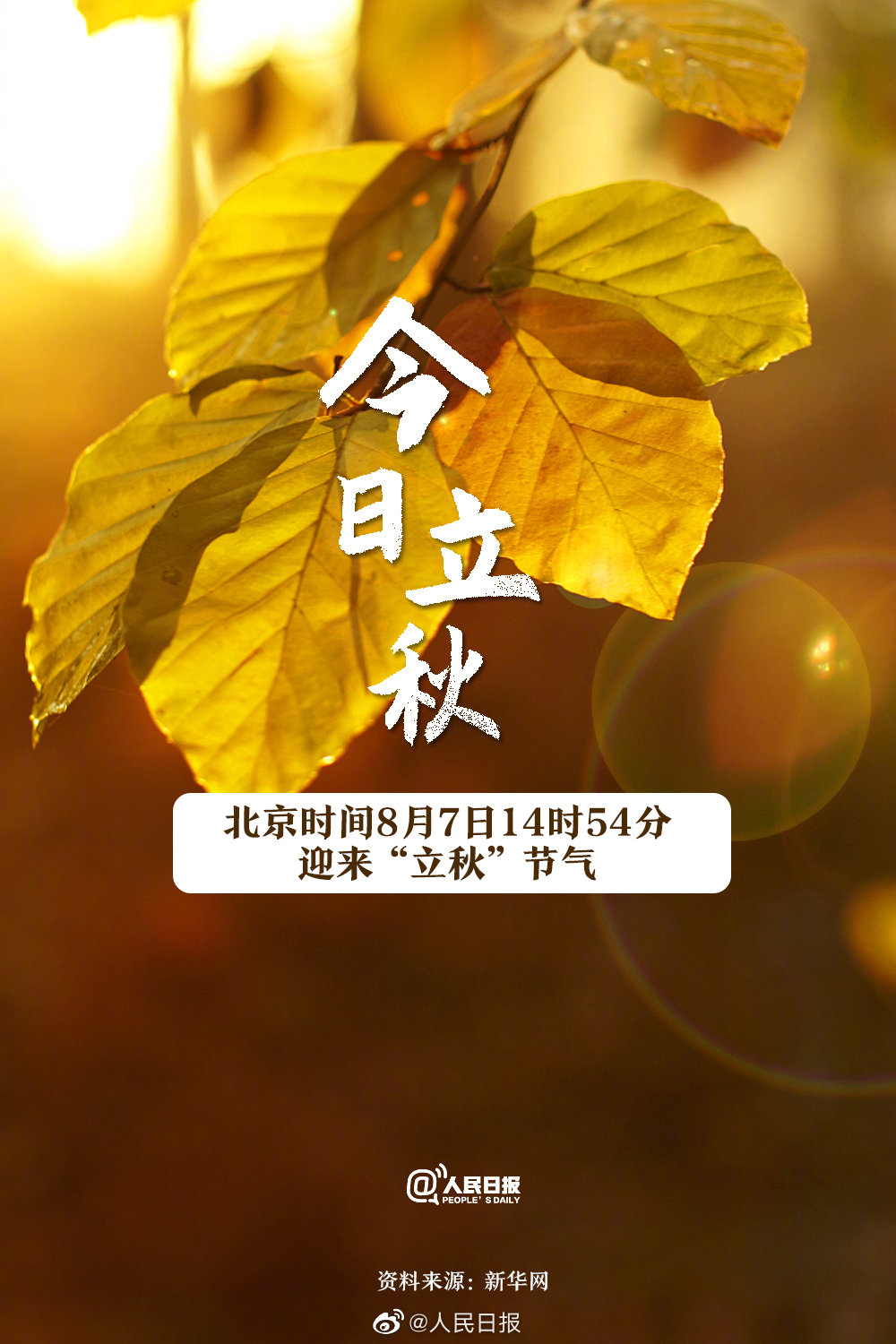 沈阳理工大学团委 _ 哔哩哔哩相簿