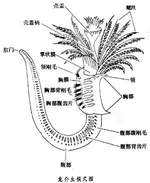晴天和他的昆虫小屋 _ 哔哩哔哩相簿