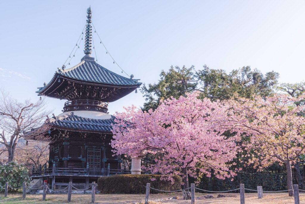 凤凰院凶真1 _ 哔哩哔哩相簿