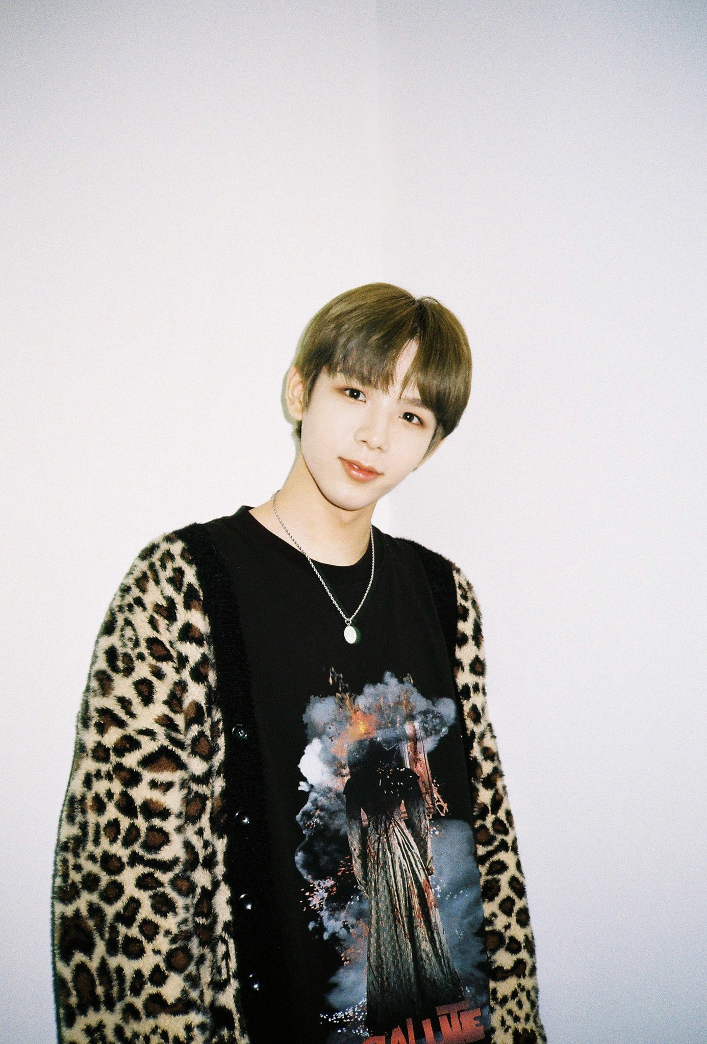 哔哩哔哩相簿,绘你所想,拍你所爱